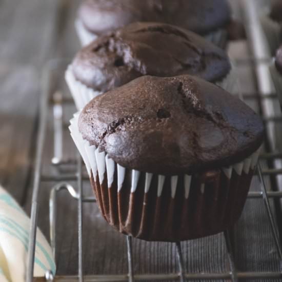Double Chocolate Muffins - Recipe photo by findingjoy