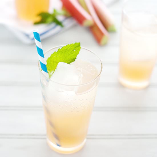 Rhubarb Shrub - Recipe photo by BourbonAndHoney