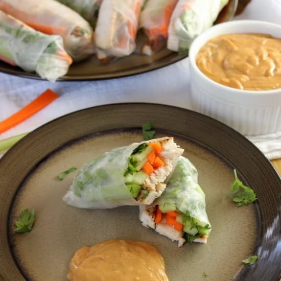 Chicken Spring Rolls - Recipe photo by Simply Playful Fare