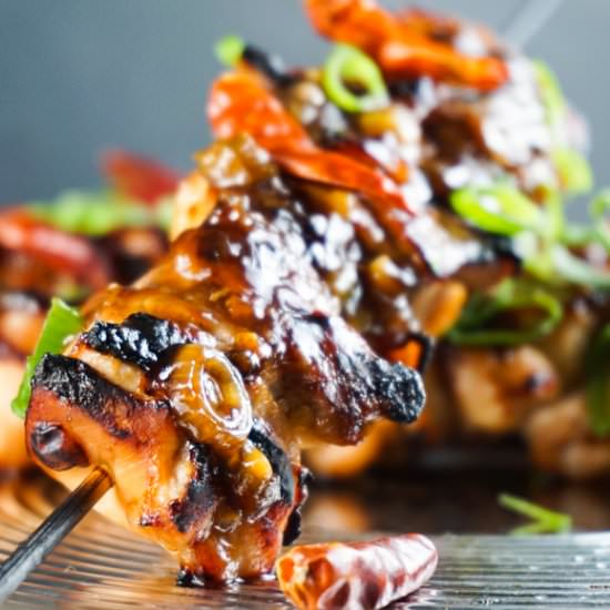 Skinny General Gau's Chicken Kabob - Recipe photo by foodefile
