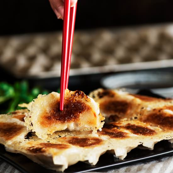 Taiwanese Potstickers - Recipe photo by CuriousNut