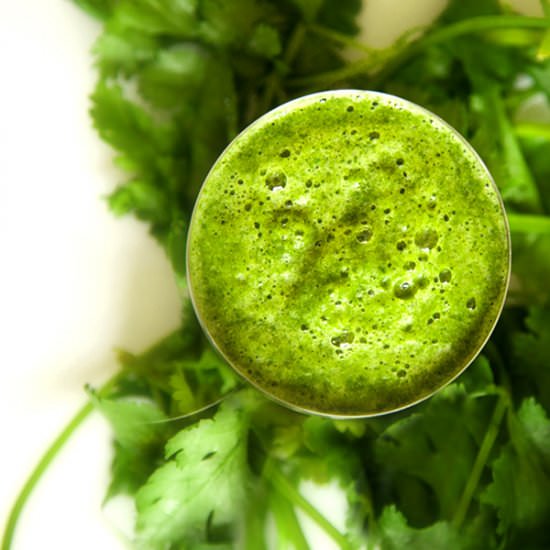 Cilantro Chutney - Recipe photo by TurmericMeCrazy