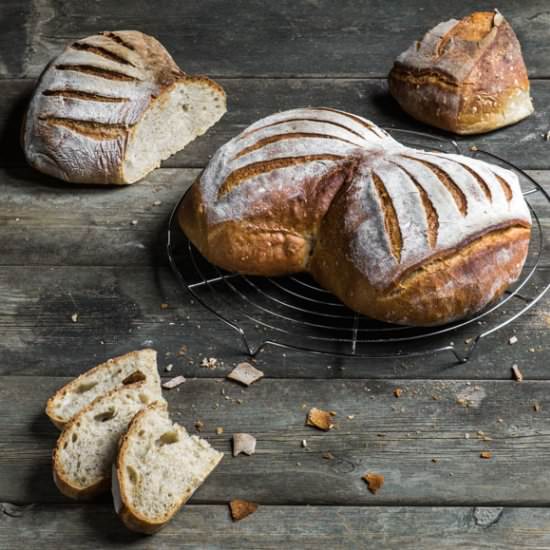 Pain d'Aix - Recipe photo by denisav