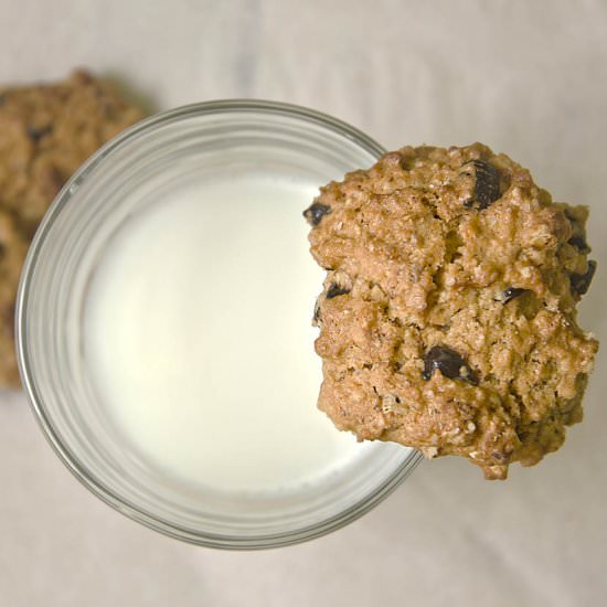 Delicious Lactation Cookies - Recipe photo by Hungry PeePor
