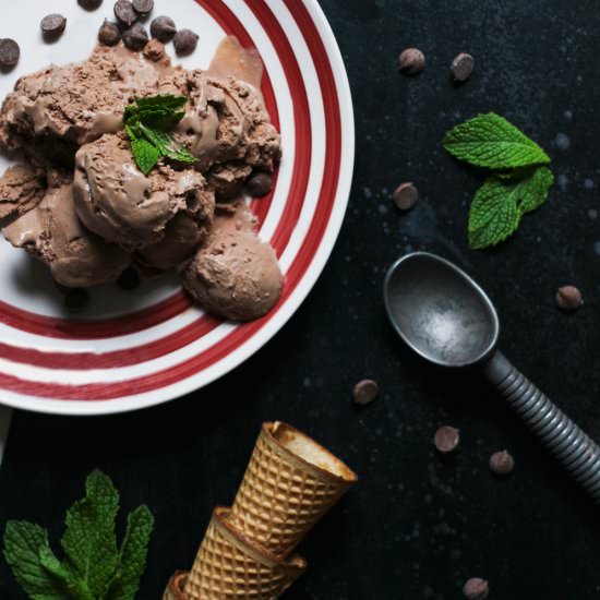 Chocolate Chevre Ice Cream - Recipe photo by vermodern
