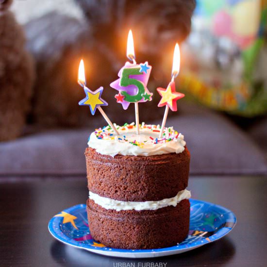 Dog Safe Birthday Carrot Cake - Recipe photo by URBANBAKES