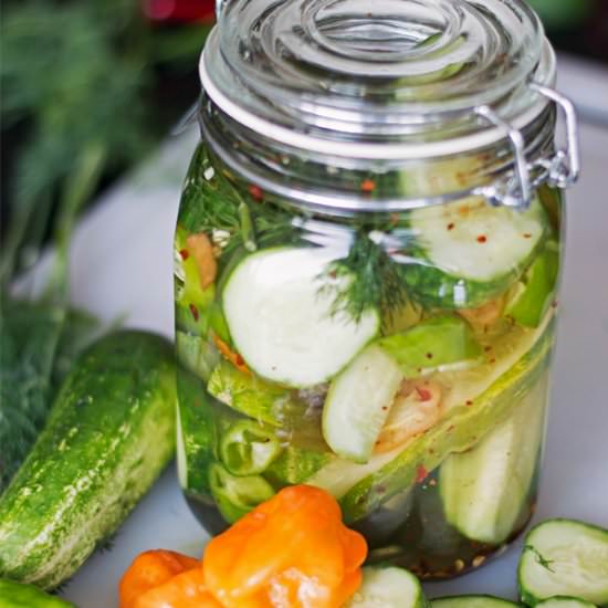 Homemade Spicy Habanero Pickles - Recipe photo by cookingdivine