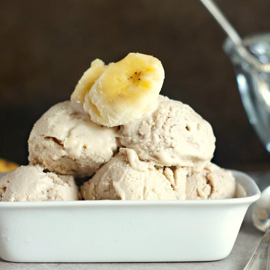 Banana-Peanut Butter Frozen Yogurt - Recipe photo by fearlesshomemaker