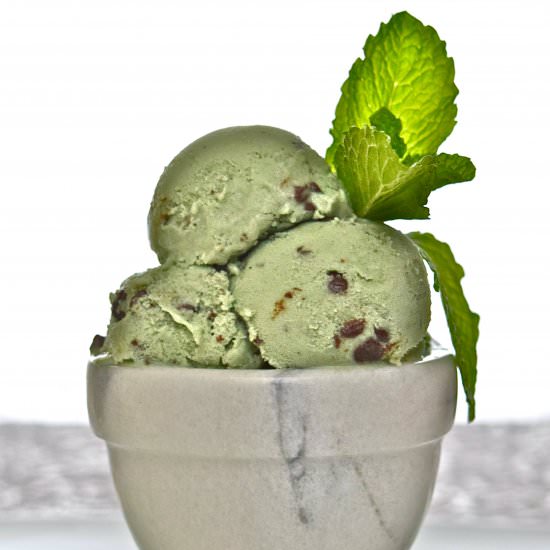 Mint Chocolate Chip Ice Cream - Recipe photo by youreananimal