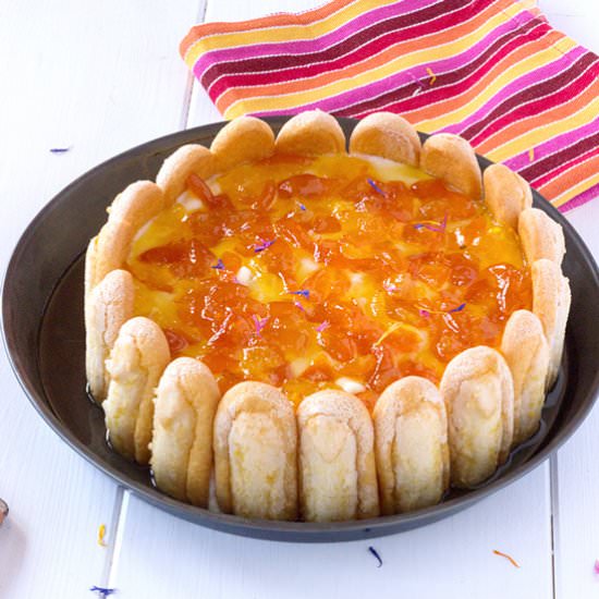 Charlotte Strawberry Kumquat - Recipe photo by frenchgirlcuisine