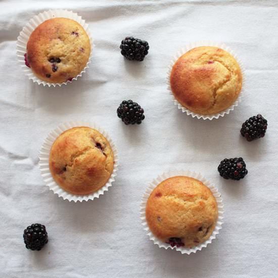 Blackberry Fairy Cakes - Recipe photo by Small Acorns