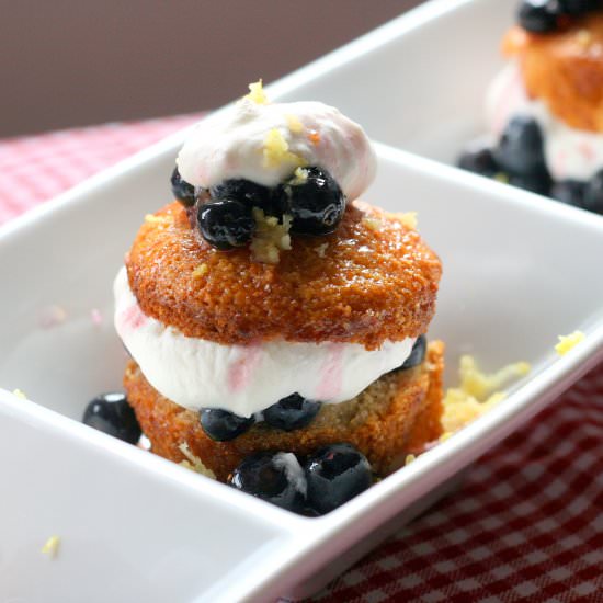 Blueberry "Shortcake" - Recipe photo by HautePepper