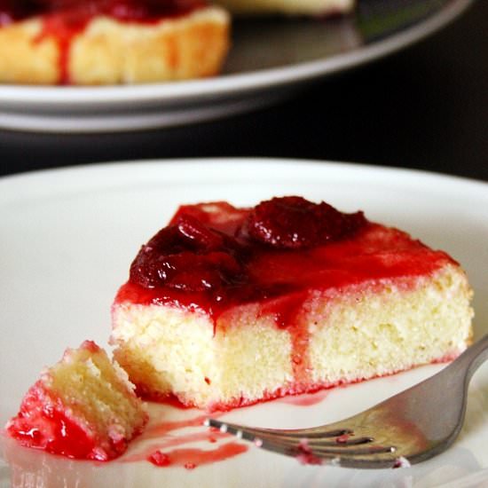 Cottage Cheese (Paneer) Cake - Recipe photo by PKsKitchenEquations