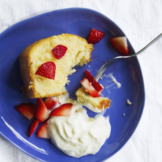 Golden Milk Cake - Recipe photo by cakeoversteak
