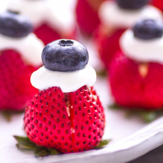 Mini Parfait - Recipe photo by handfulofrecipes