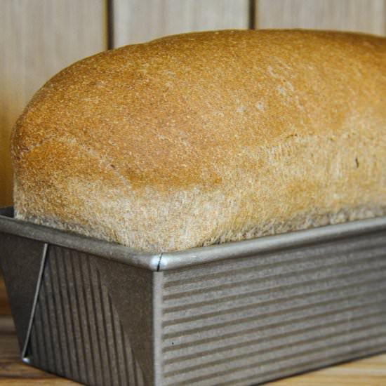 100% Sprouted Whole Wheat Bread - Recipe photo by thescratchartist