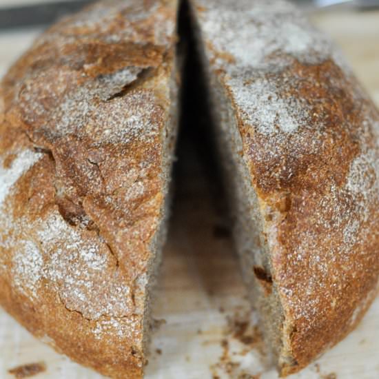 Sprouted Whole Wheat No-Knead Bread - Recipe photo by thescratchartist