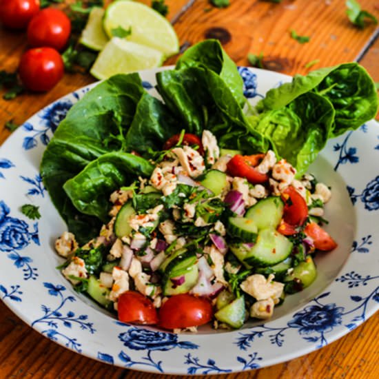 Thai Chicken Salad - Recipe photo by dishtales