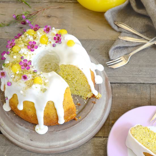 Lemon and poppy seed cake - Recipe photo by Bibbyskitchenat36
