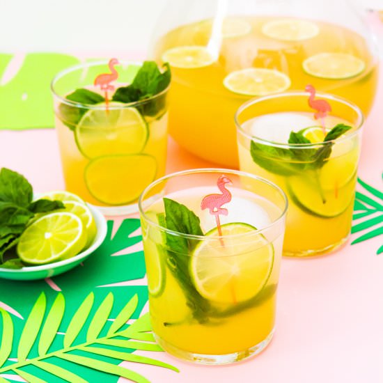 Tropical Fruit Basil Punch - Recipe photo by sarahhearts