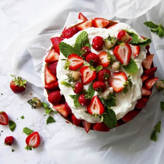 Strawberry Mint Cake - Recipe photo by NorthDixieKitchen