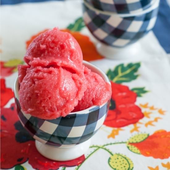 Raspberry Champagne Sorbet - Recipe photo by bridget350