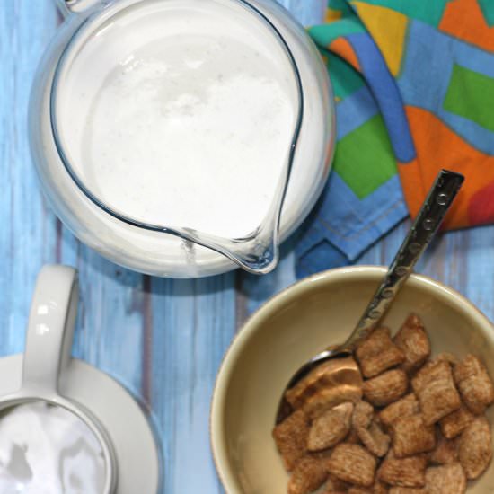 Homemade Hemp Milk - Recipe photo by kitchenofyouth