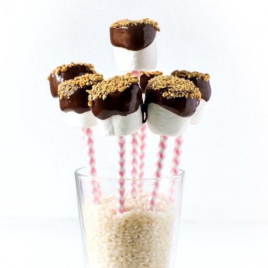 Easy Vegan S'mores Pops - Recipe photo by NamelyMarly