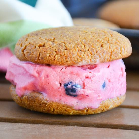 Berry Ice Cream Sandwiches - Recipe photo by The Vanilla Plum