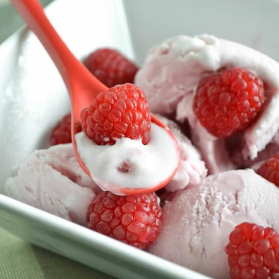 Raspberry Coconut Milk Ice Cream - Recipe photo by shebakeshere