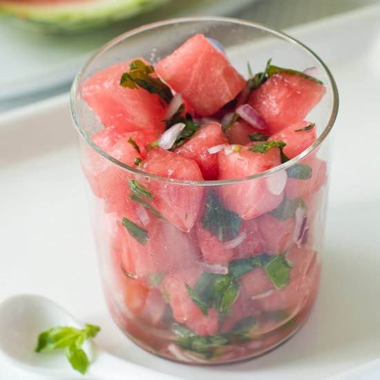 Watermelon Salsa - Recipe photo by carrieleber