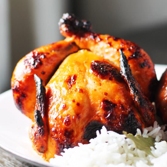 Tandoori Cornish Game Hens - Recipe photo by TheGourmetGourmand