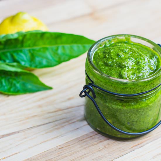 Garden Fresh Basil Pesto - Recipe photo by focusedonfit