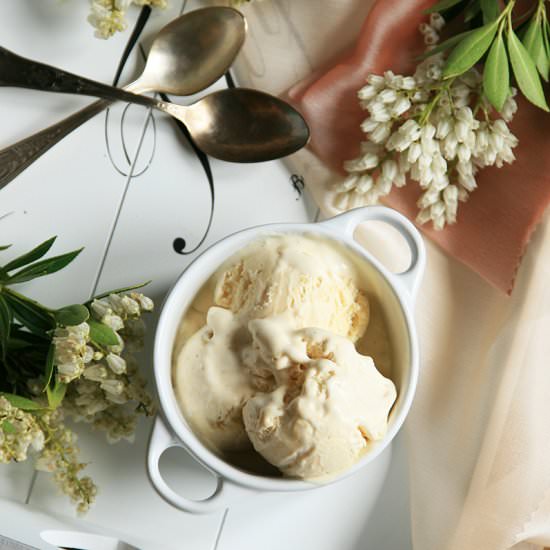 Rhubarb Vanilla Ice Cream - Recipe photo by cherryncinnamon