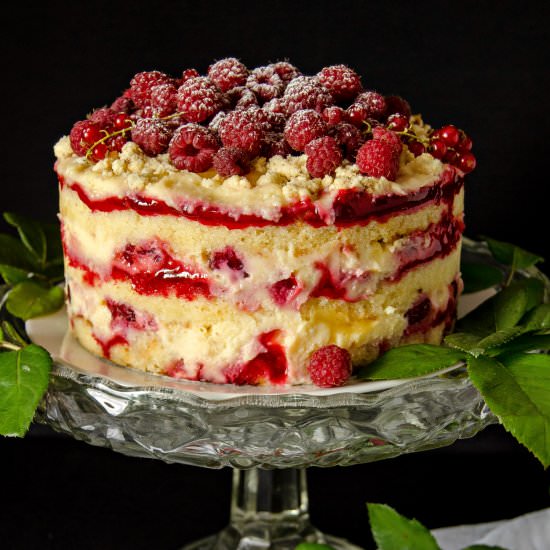 Raspberry Lemonade Cake - Recipe photo by PastryWorkshop