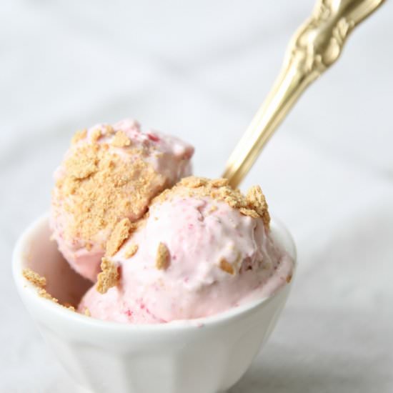 Strawberry Cheesecake Ice Cream - Recipe photo by CoordinatelyYours