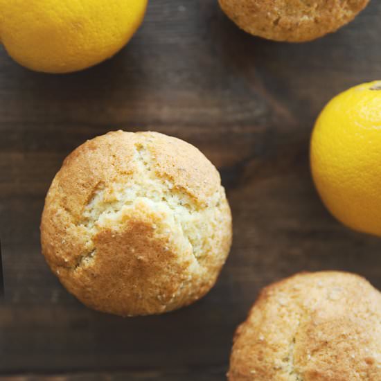 Lemon Chia Seed Muffins - Recipe photo by TurmericMeCrazy