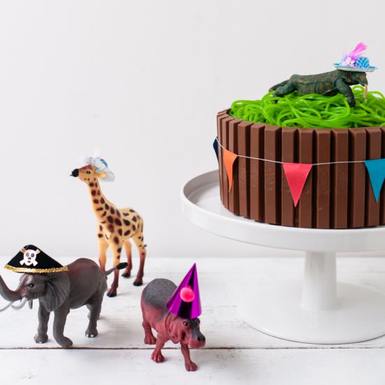 Party Animal Birthday Cake - Recipe photo by trickytine