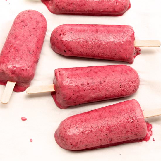 2-Ingredient Popsicles - Recipe photo by FountainAvenueKitchen