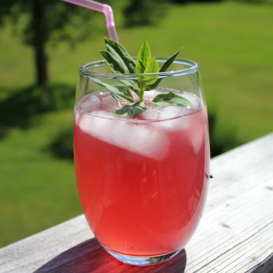 Healthy Passion Tea Lemonade - Recipe photo by Nikkis Plate