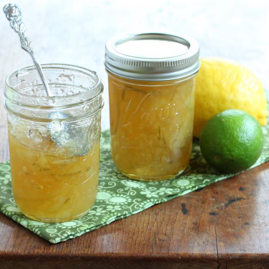 Lemon Lime Marmalade - Recipe photo by daringgourmet