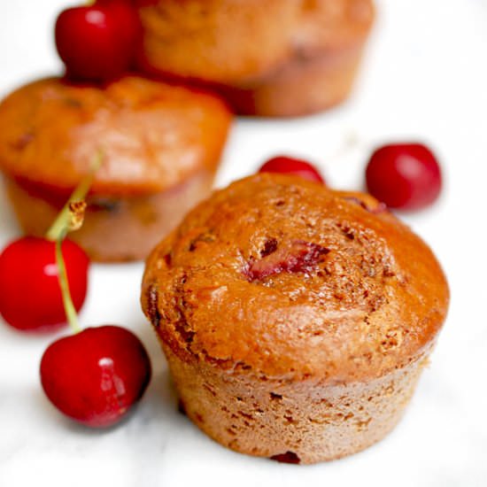 Double Chocolate Cherry Muffins - Recipe photo by evabakes