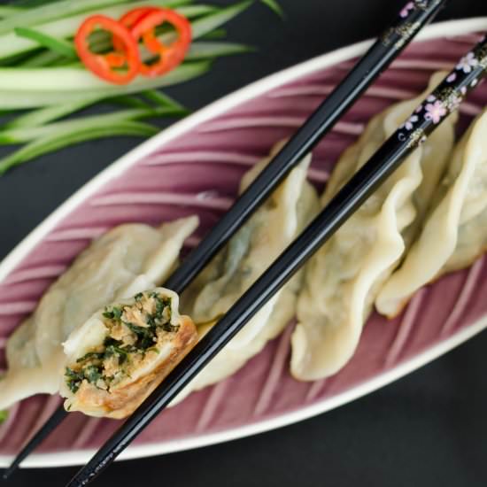Vege gyoza - Recipe photo by Proven Kitchen