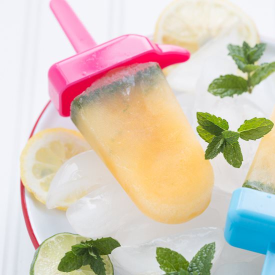 Citrus and Herb Popsicles - Recipe photo by Stasty
