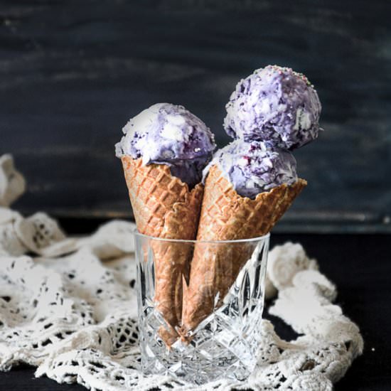 Vegan Coconut Blueberry Ice Cream - Recipe photo by Anu@MyGingerGarlicKitchen