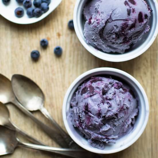 Roasted Blueberry Ice Cream - Recipe photo by hungryscribbler
