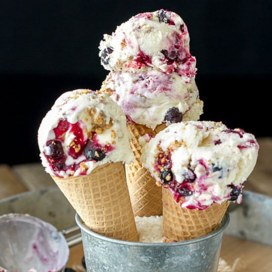Blueberry Cheesecake Ice Cream - Recipe photo by ImBoredLetsGo