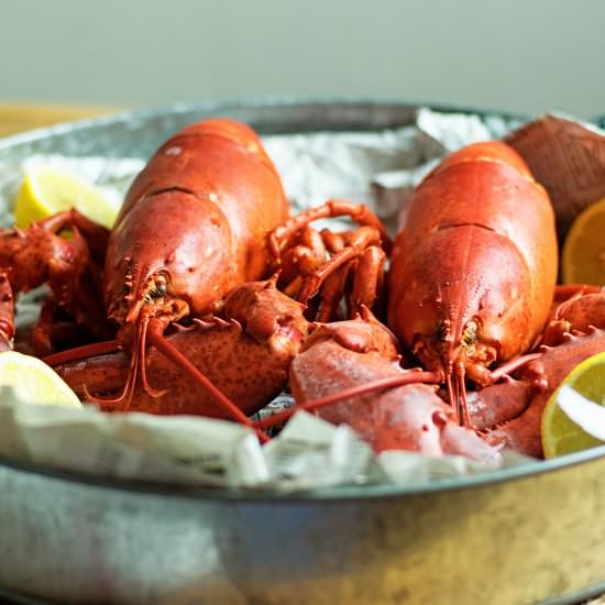 How to Cook a Live Lobster - Recipe photo by The Kitchen Wife