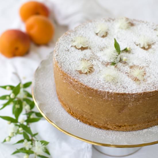 Apricot Cake - Recipe photo by lemiericetteconesenza