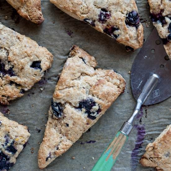 Blueberry Lemon & Ricotta Scones - Recipe photo by dishing up the dirt